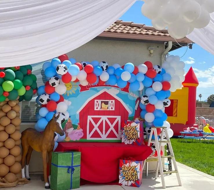 Pony Foal Horse Standing Statue A0332-120043-H