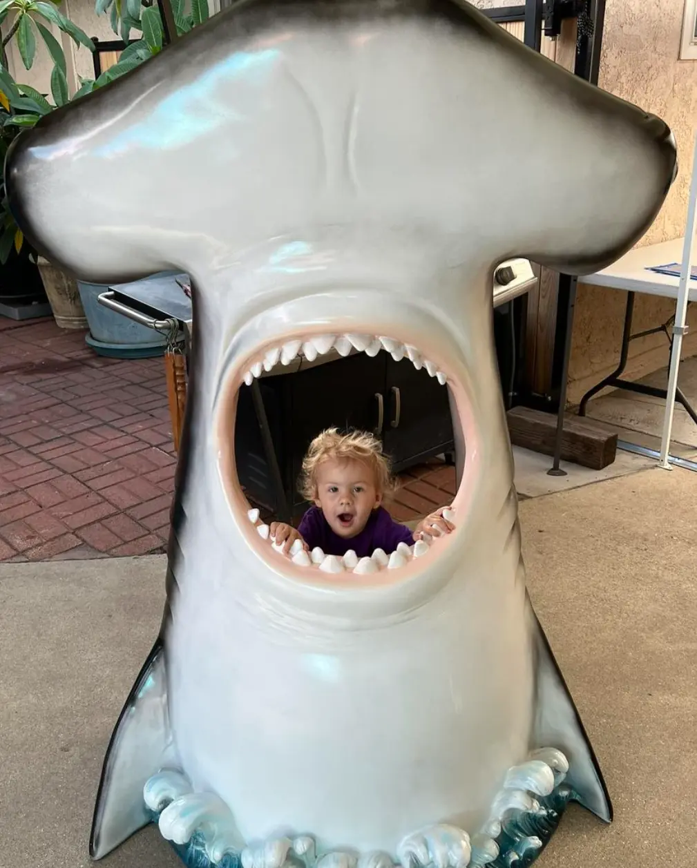 Hammerhead Shark Photo Op A0382-140045-H