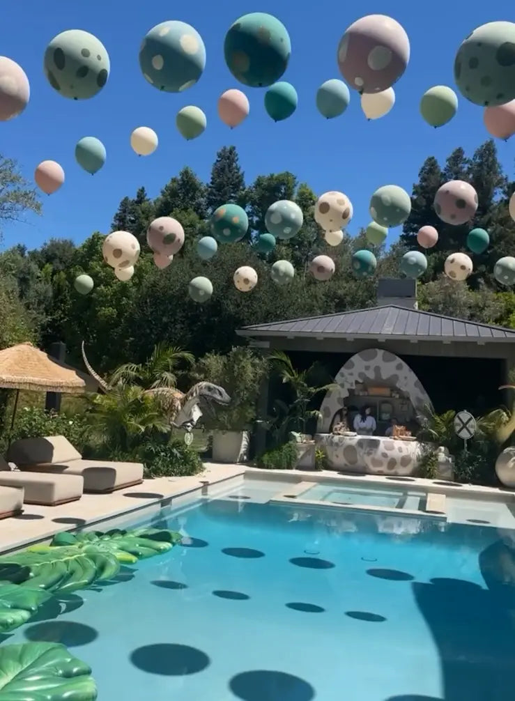 Australovenator Dinosaur Life Size Statue A0816-200085-H