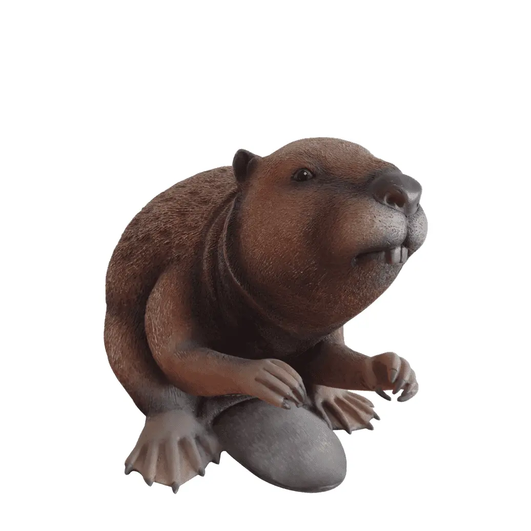 Beaver Rodent Life Size Statue - LM Treasures Prop Rentals