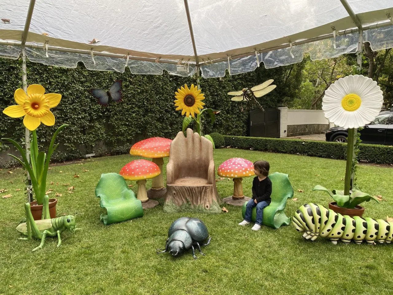 Beetle Statue A0598-R176-PT