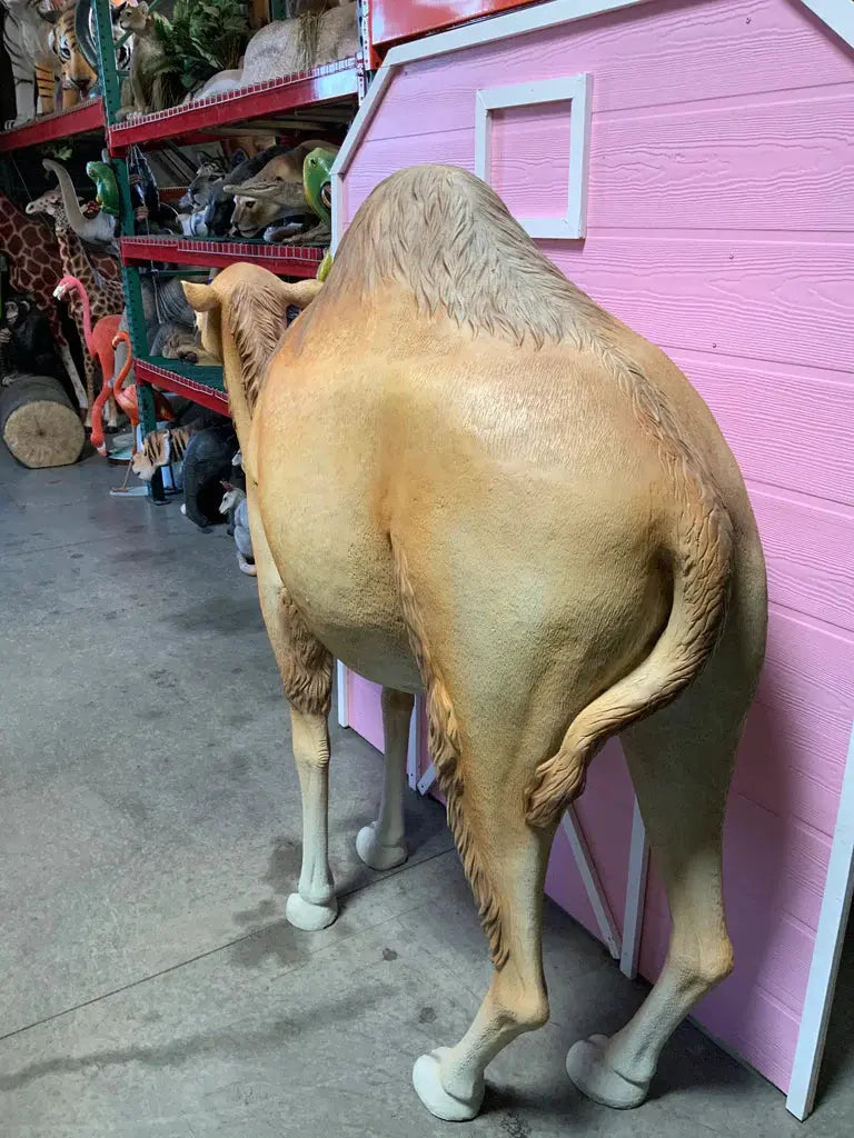 Dromedary Camel Life Size Statue A0440-3588-A