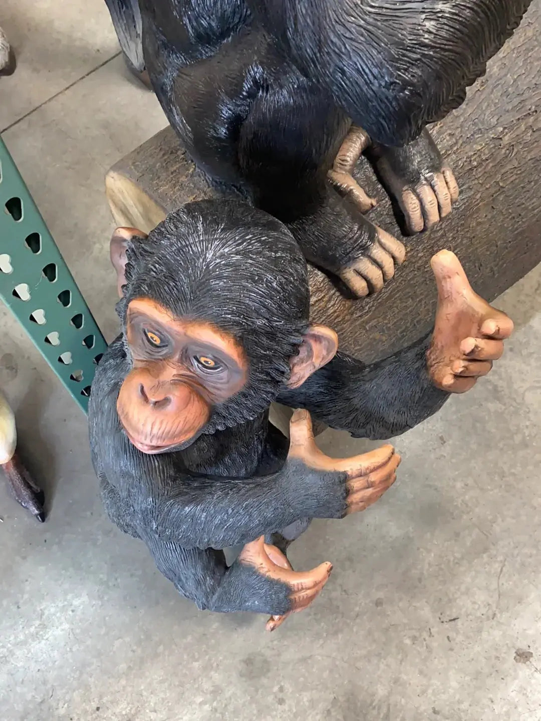 Monkey Congo Statue A0726-R254-PT