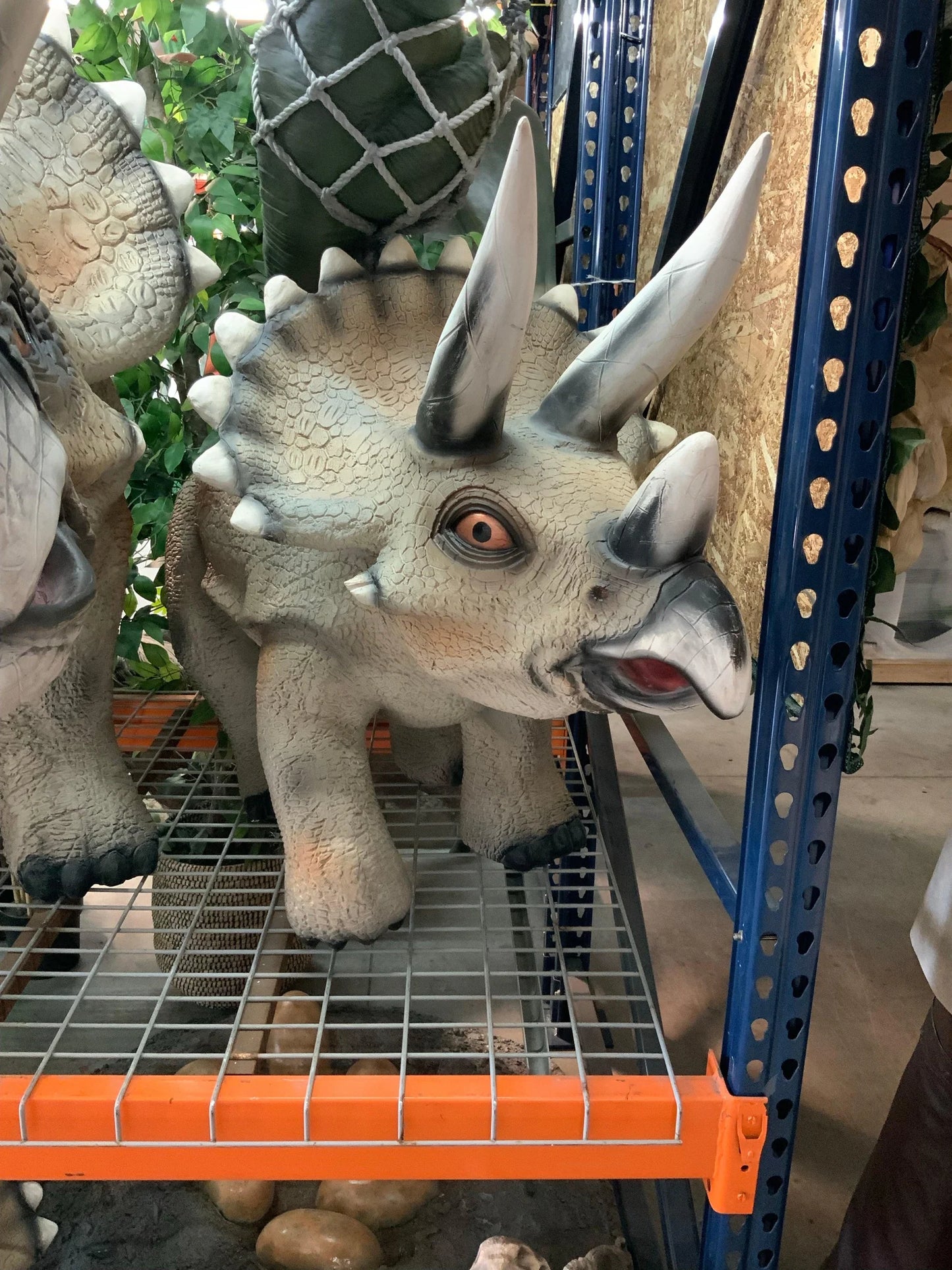 Gray Walking Triceratops Dinosaur Statue
