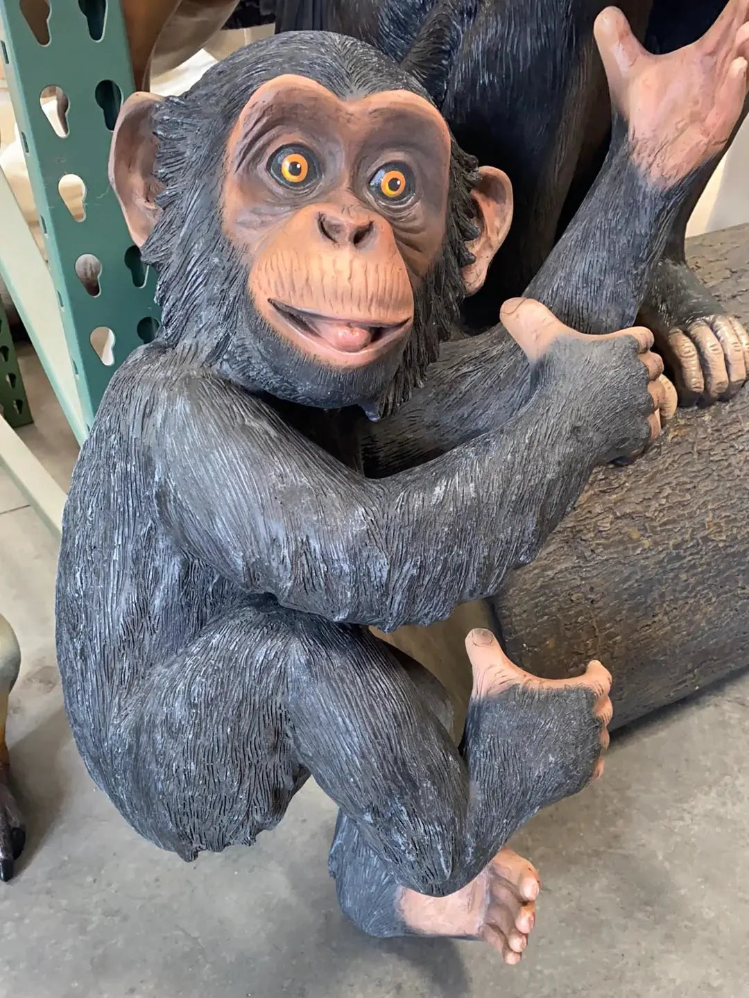 Monkey Congo Statue A0726-R254-PT