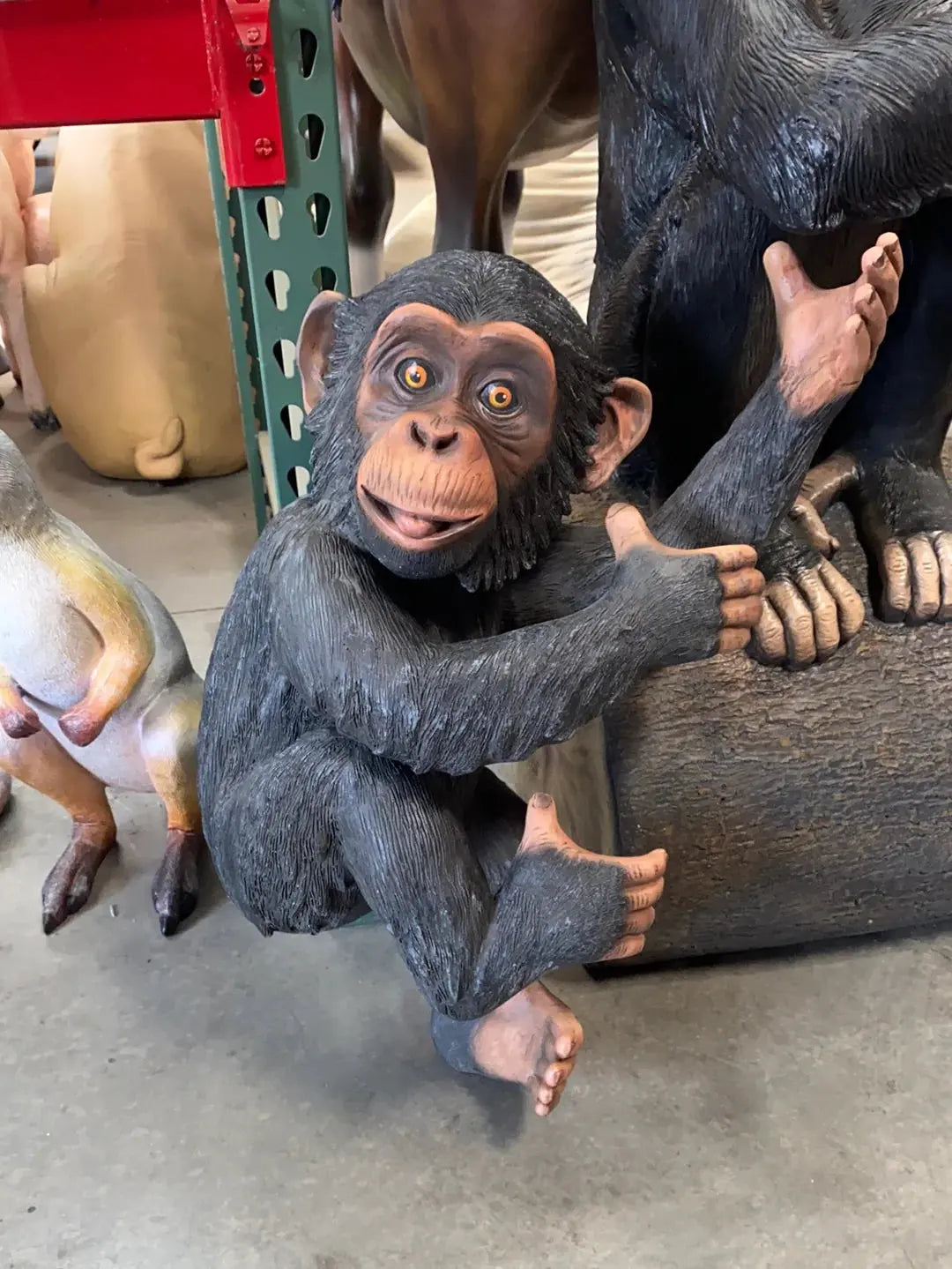 Monkey Congo Statue A0726-R254-PT
