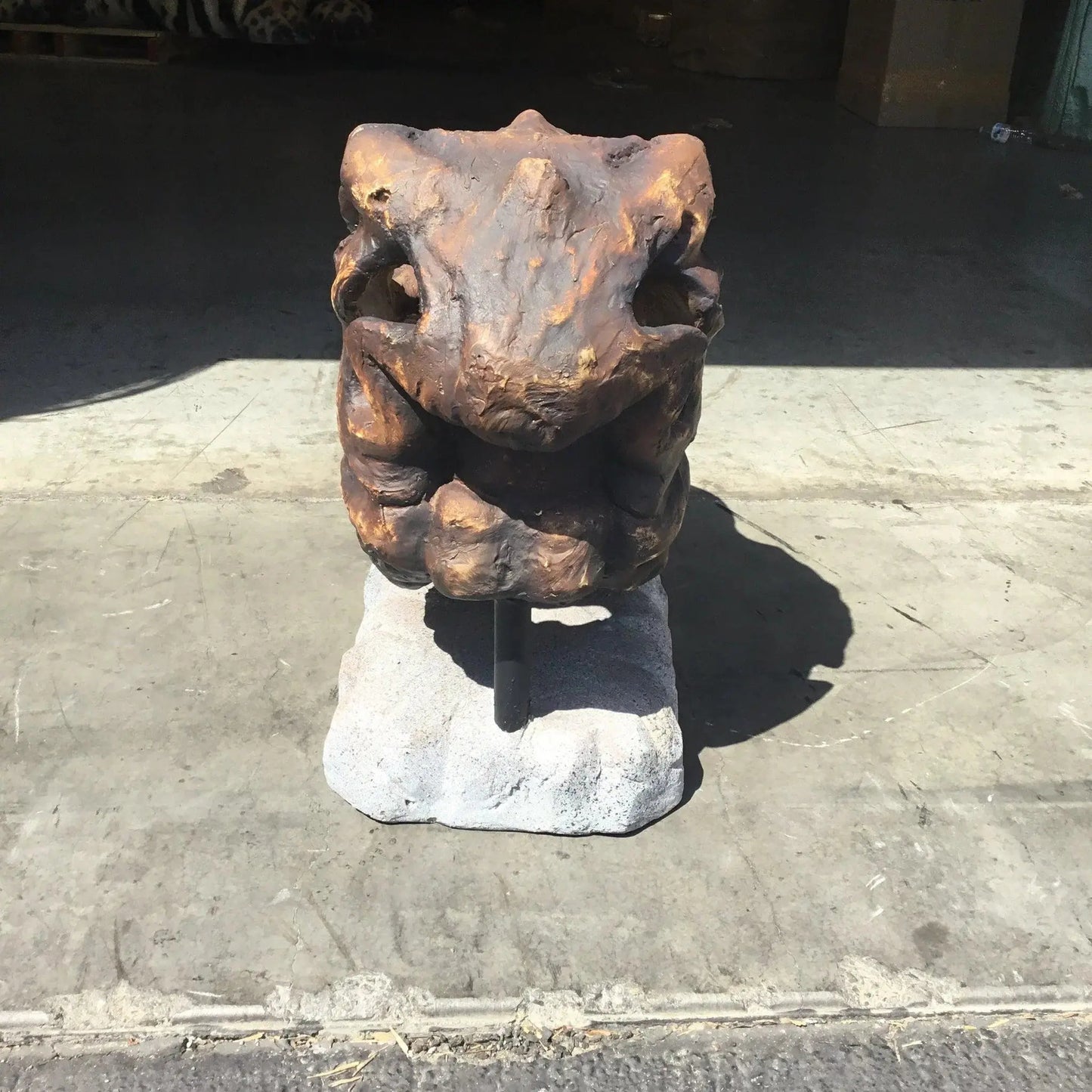 Large T-Rex Skull Statue M0215-2440-A