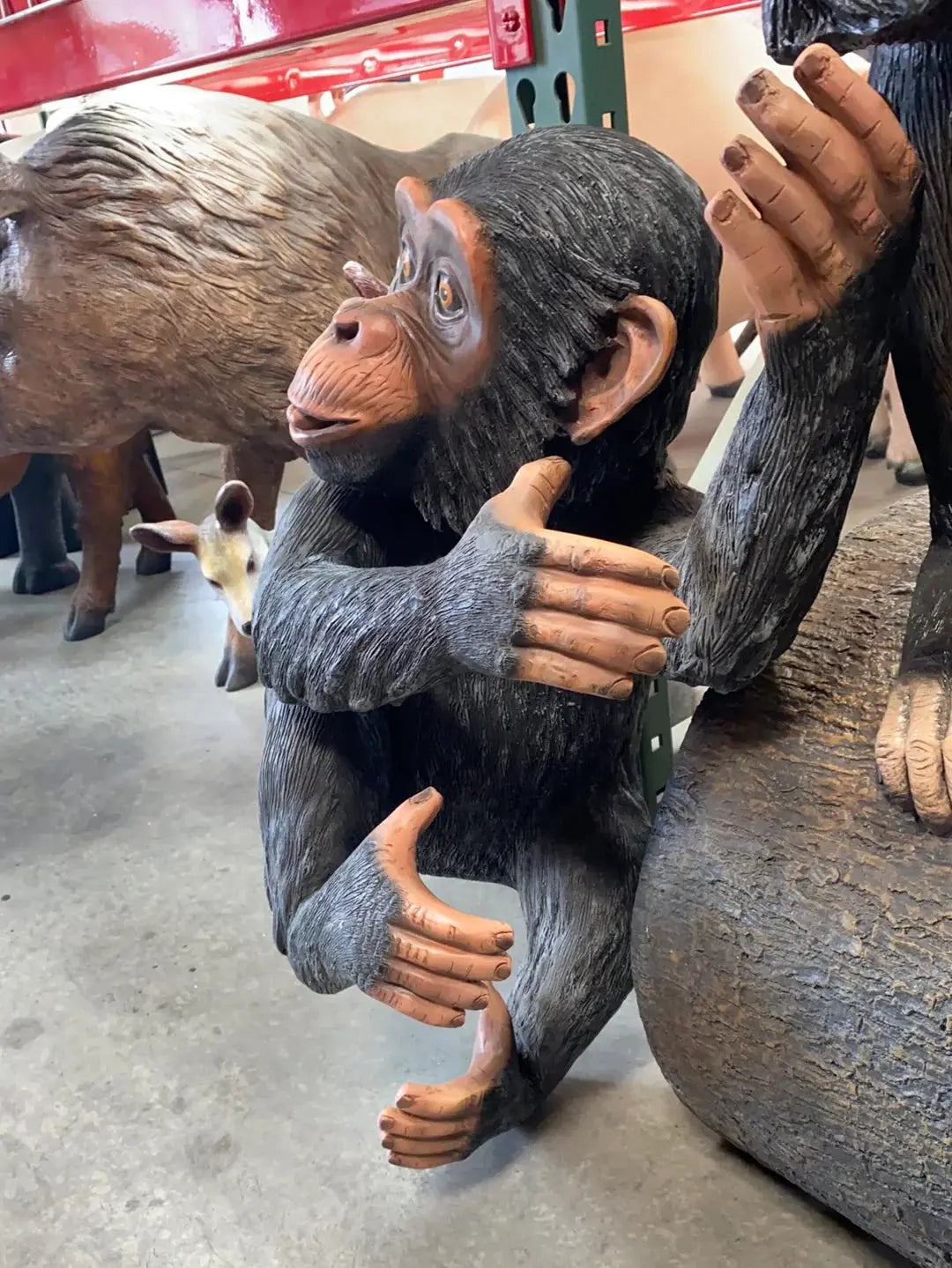 Monkey Congo Statue A0726-R254-PT