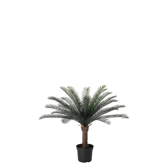 Mini Palm Tree - LM Treasures Prop Rentals