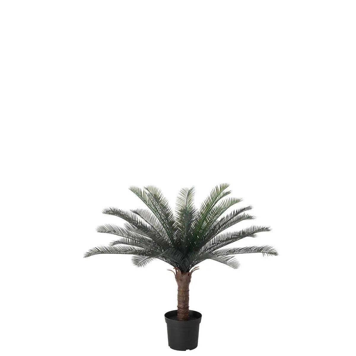 Mini Palm Tree - LM Treasures Prop Rentals