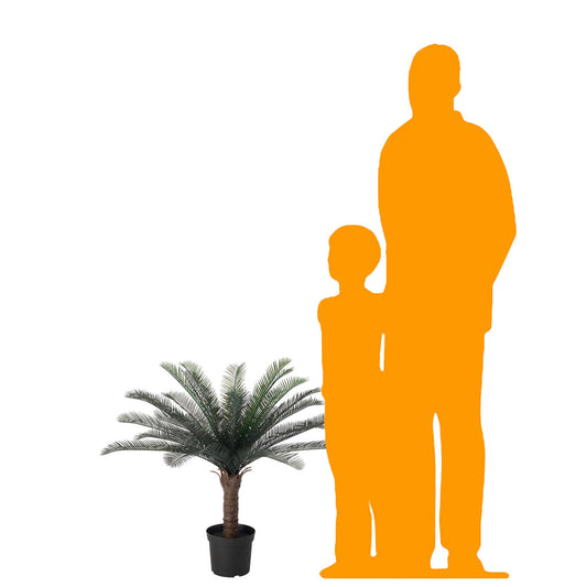 Mini Palm Tree