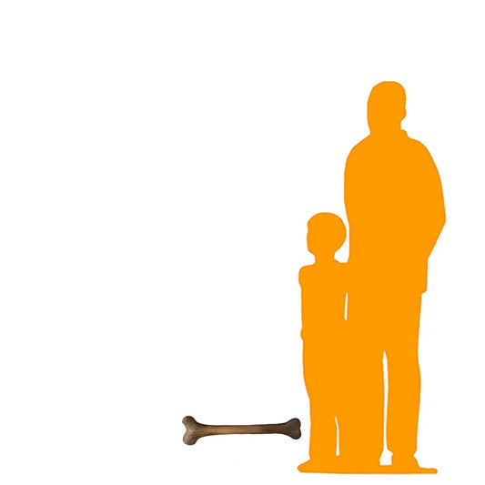 Small Dinosaur Bone Statue A0584-R042-PT