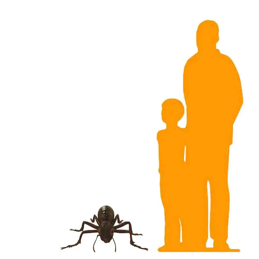 Ant Statue A0587-R054-PT