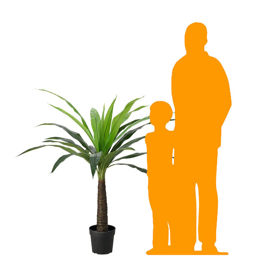 Small Tropical Palm Tree