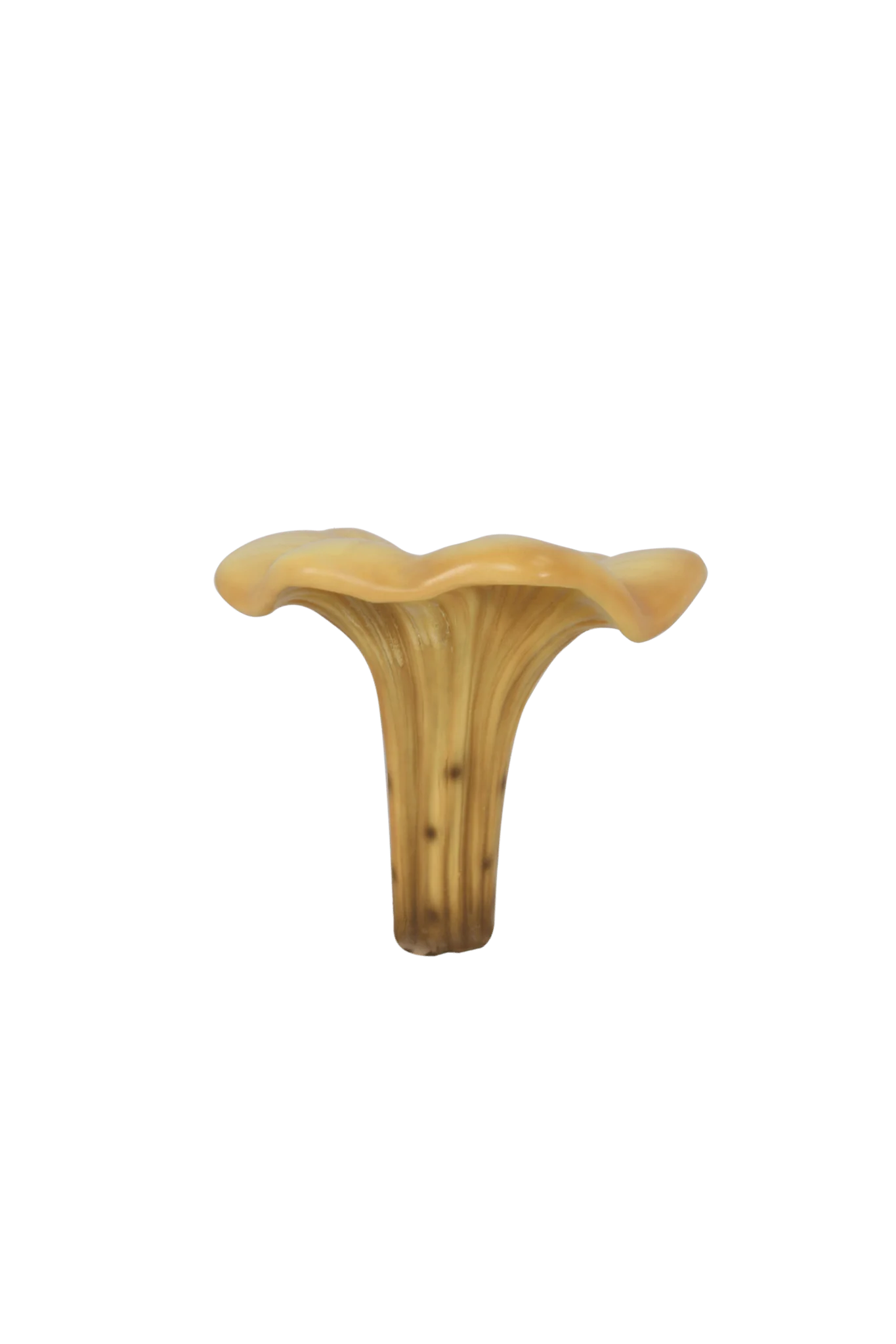 Small Chanterelle Mushroom Statue