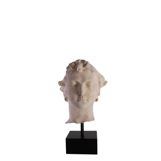 Stone David Head Statue - LM Treasures Prop Rentals