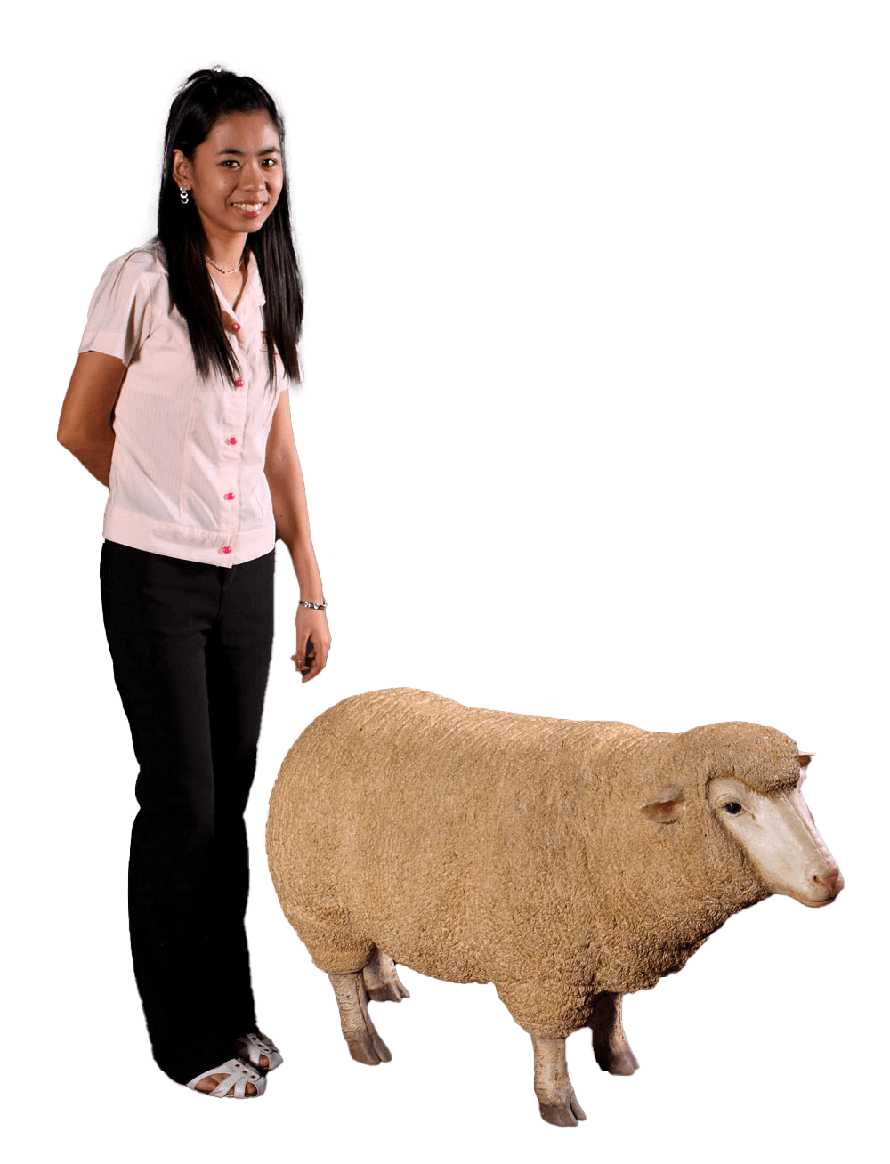 Merino Ewe Statue