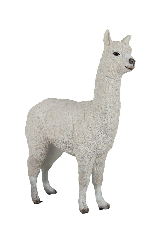 White Alpaca Life Size Statue Prop - LM Treasures Prop Rentals