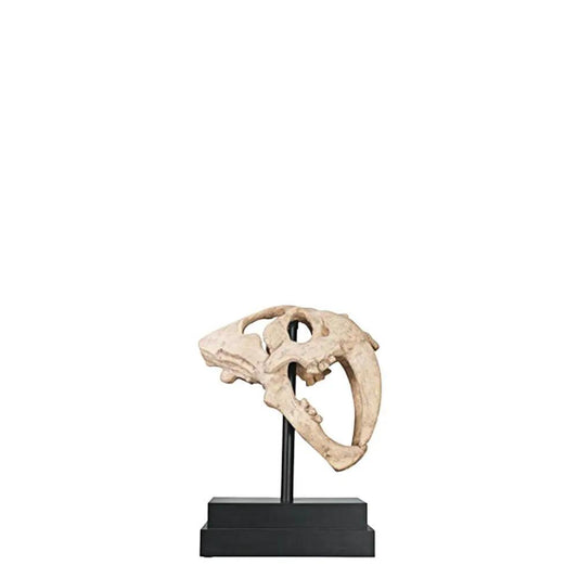 Saber Tooth Skull Statue - LM Treasures Prop Rentals
