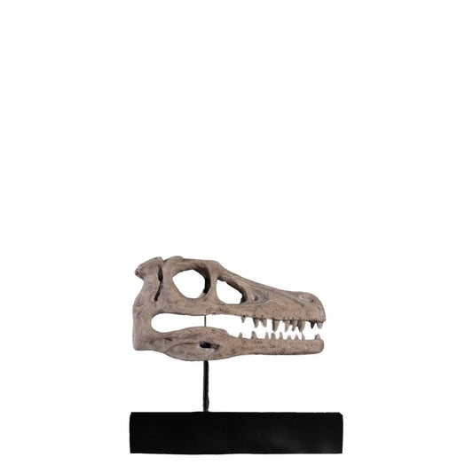 Raptor Dinosaur Skull Statue - LM Treasures Prop Rentals