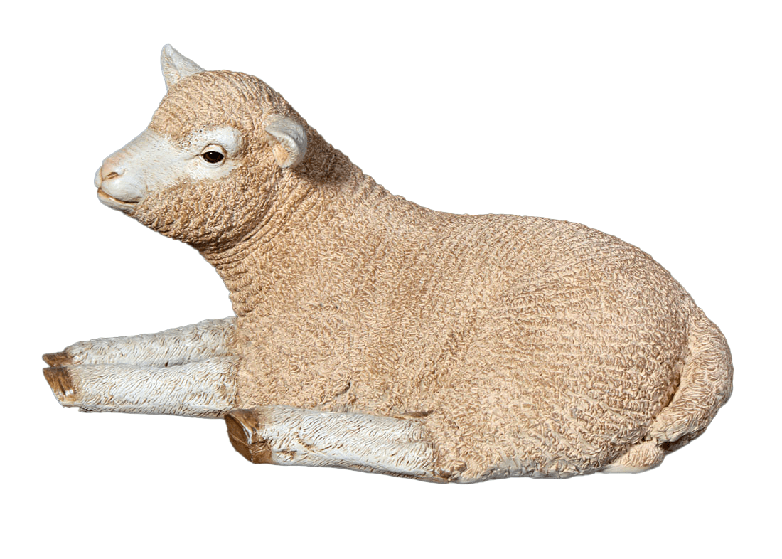 Laying Baby Merino Lamb Statue