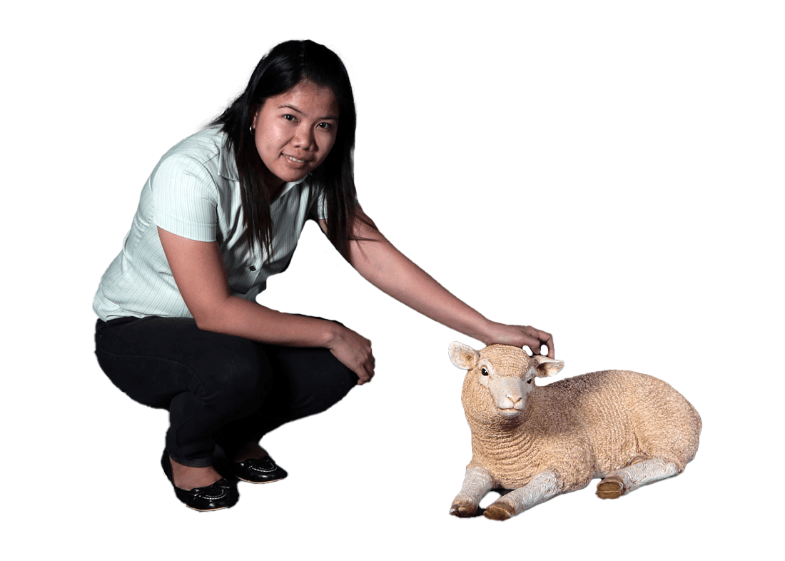 Laying Baby Merino Lamb Statue