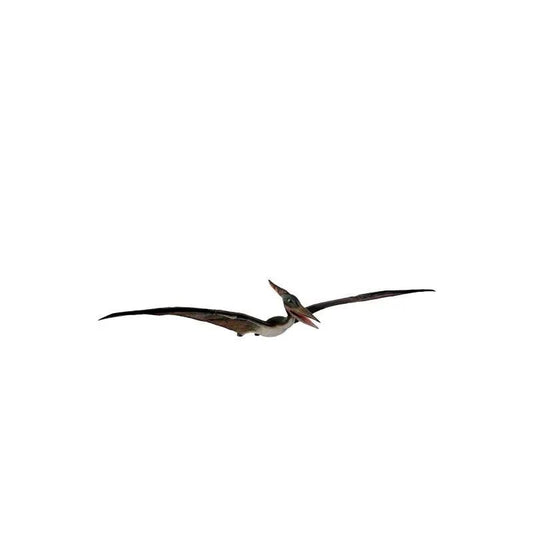 Small Flying Pteranodon Dinosaur Statue - LM Treasures Prop Rentals