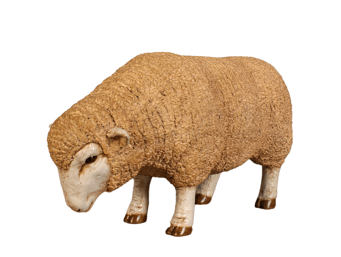 Baby Merino Ewe Head Down Statue