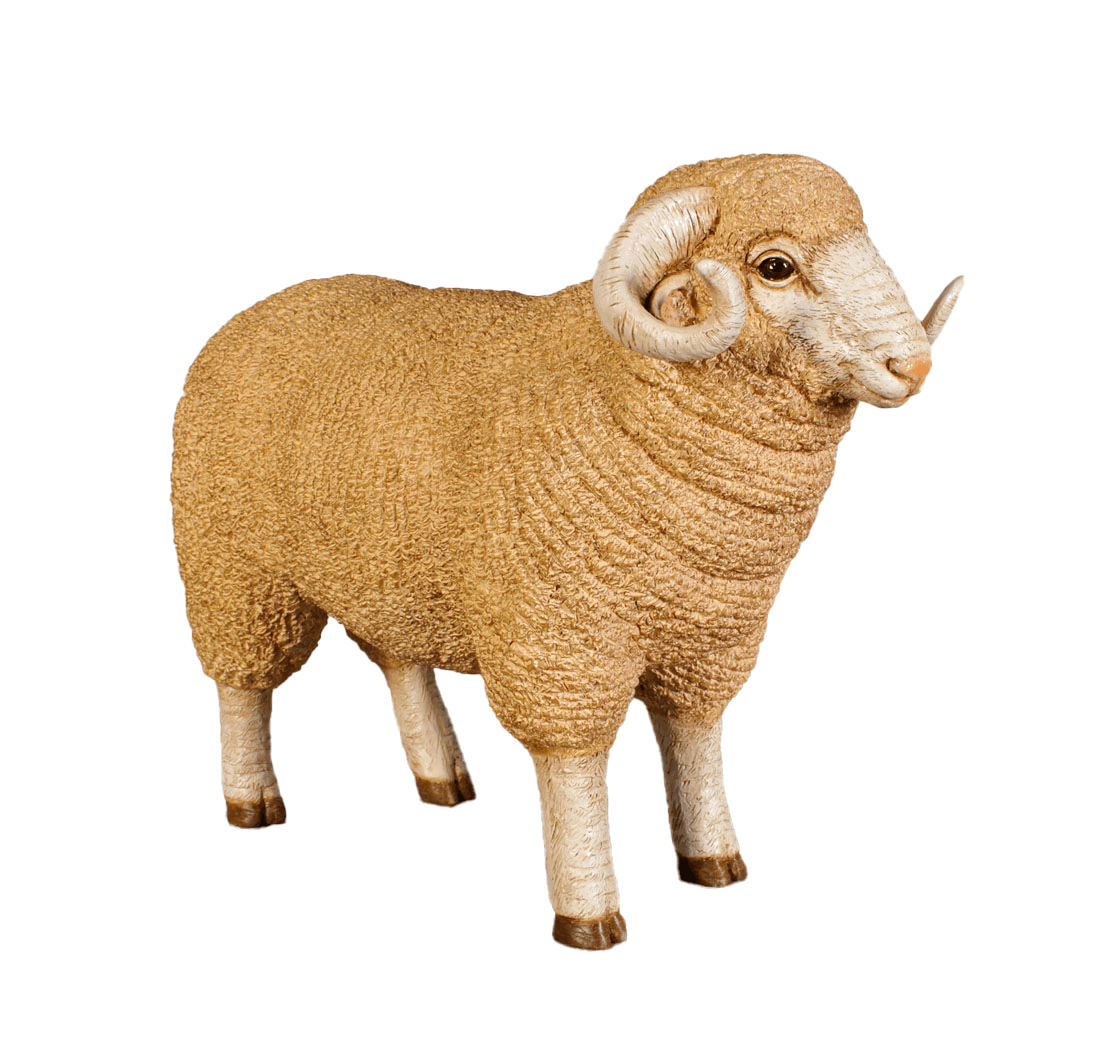 Baby Merino Ram Statue