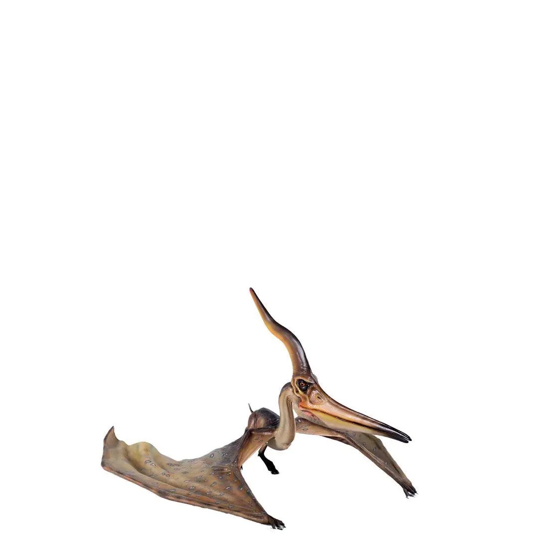 Standing Pteranodon Ingens Dinosaur Statue - LM Treasures Prop Rentals