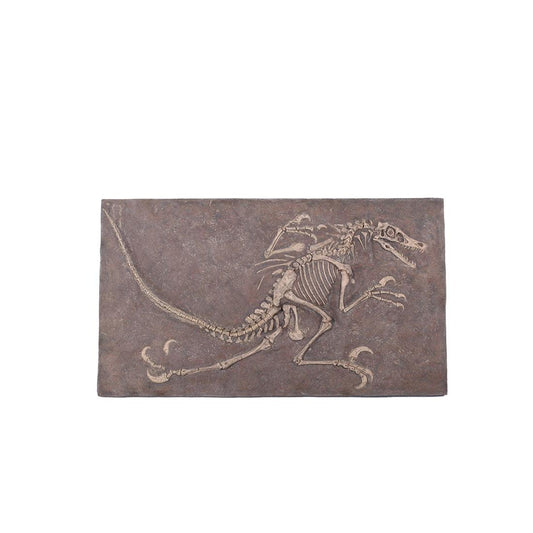 Velociraptor Dinosaur Skeleton Statue - LM Treasures Prop Rentals