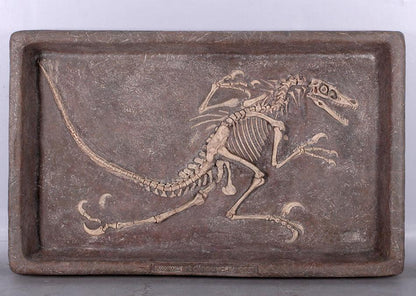 Velociraptor Dinosaur Skeleton Dig Statue - LM Treasures Prop Rentals 