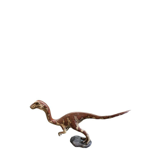 Baby Velociraptor Dinosaur Statue - LM Treasures Prop Rentals