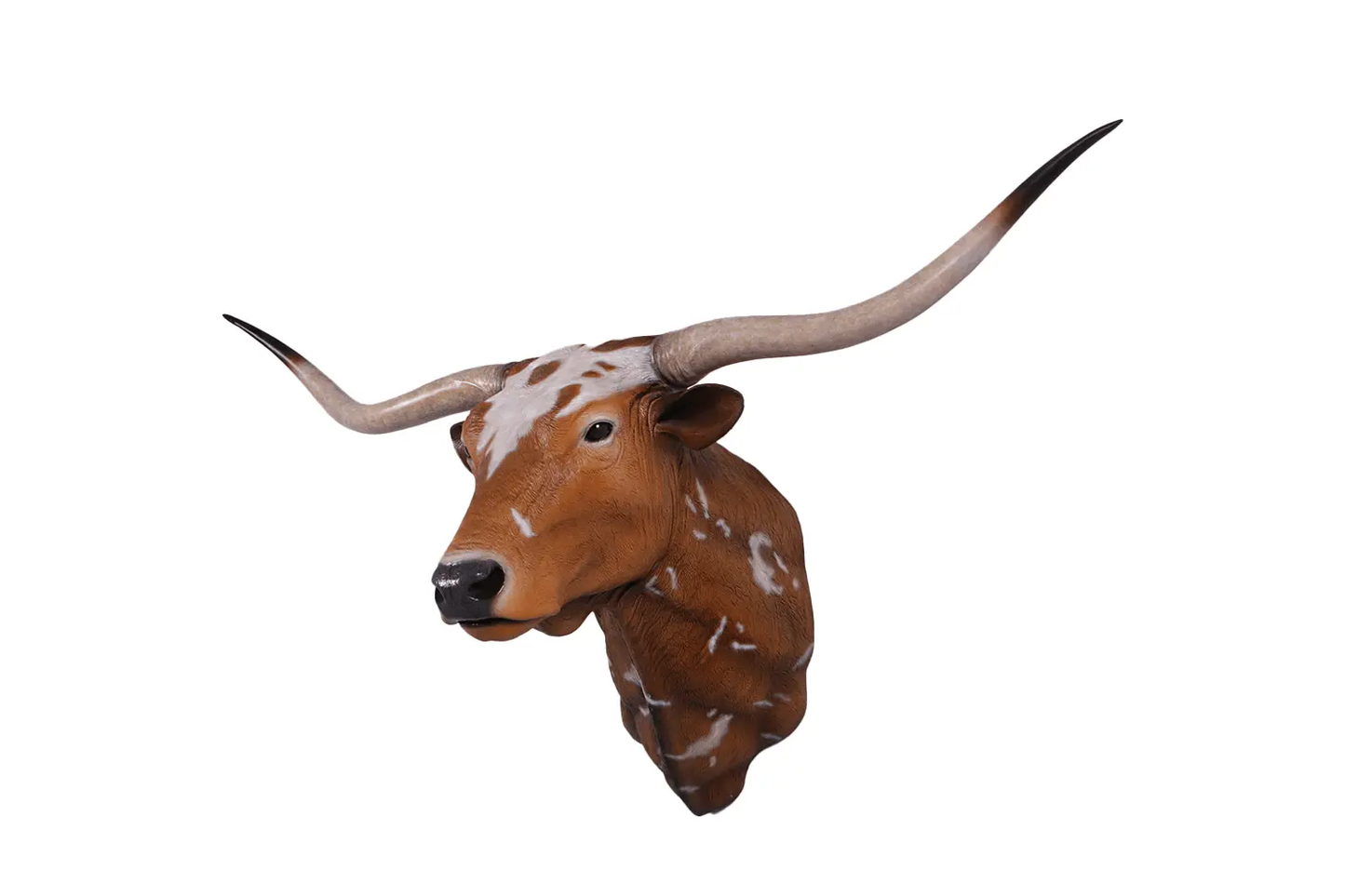 Texas Long Horn Head Life Size Statue - LM Treasures Prop Rentals