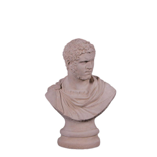 Nero Stone Bust Statue - LM Treasures Prop Rentals