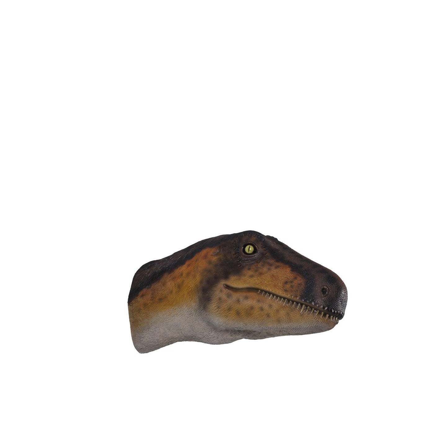 Theropod Dinosaur Head Statue - LM Treasures Prop Rentals