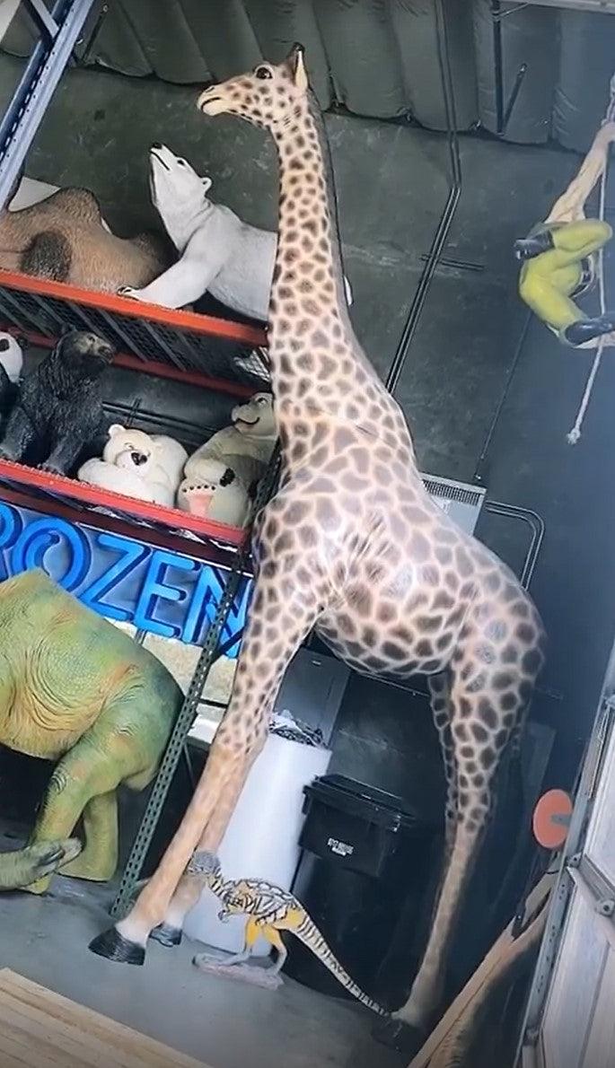 Life Size Giraffe Statue