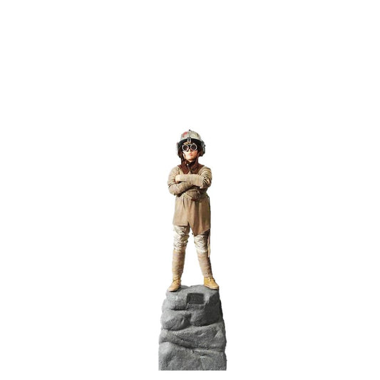 Anakin Skywalker Star Wars Statue - LM Treasures Prop Rentals