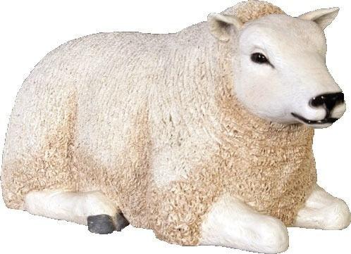 Sheep Ewe Texelaar Baby Laying Farm Prop Resin Decor Statue - LM Treasures Prop Rentals
