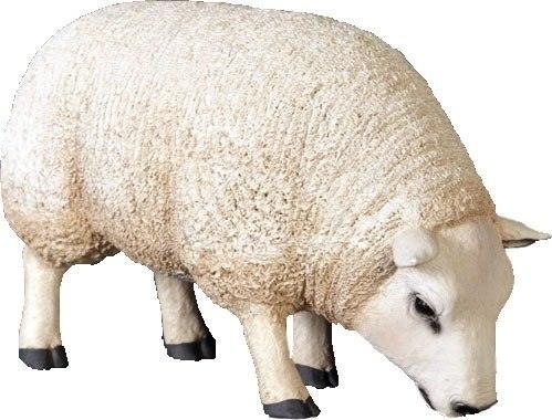 Sheep Ewe Texelaar Baby Head Down Farm Prop Resin Decor Statue - LM Treasures Prop Rentals