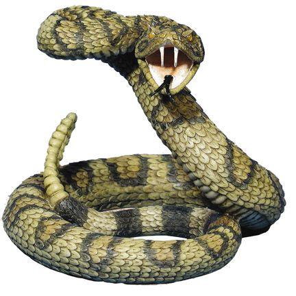 Small Rattlesnake Life Size Statue