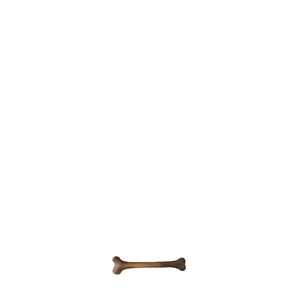 Small Dinosaur Bone Statue - LM Treasures Prop Rentals