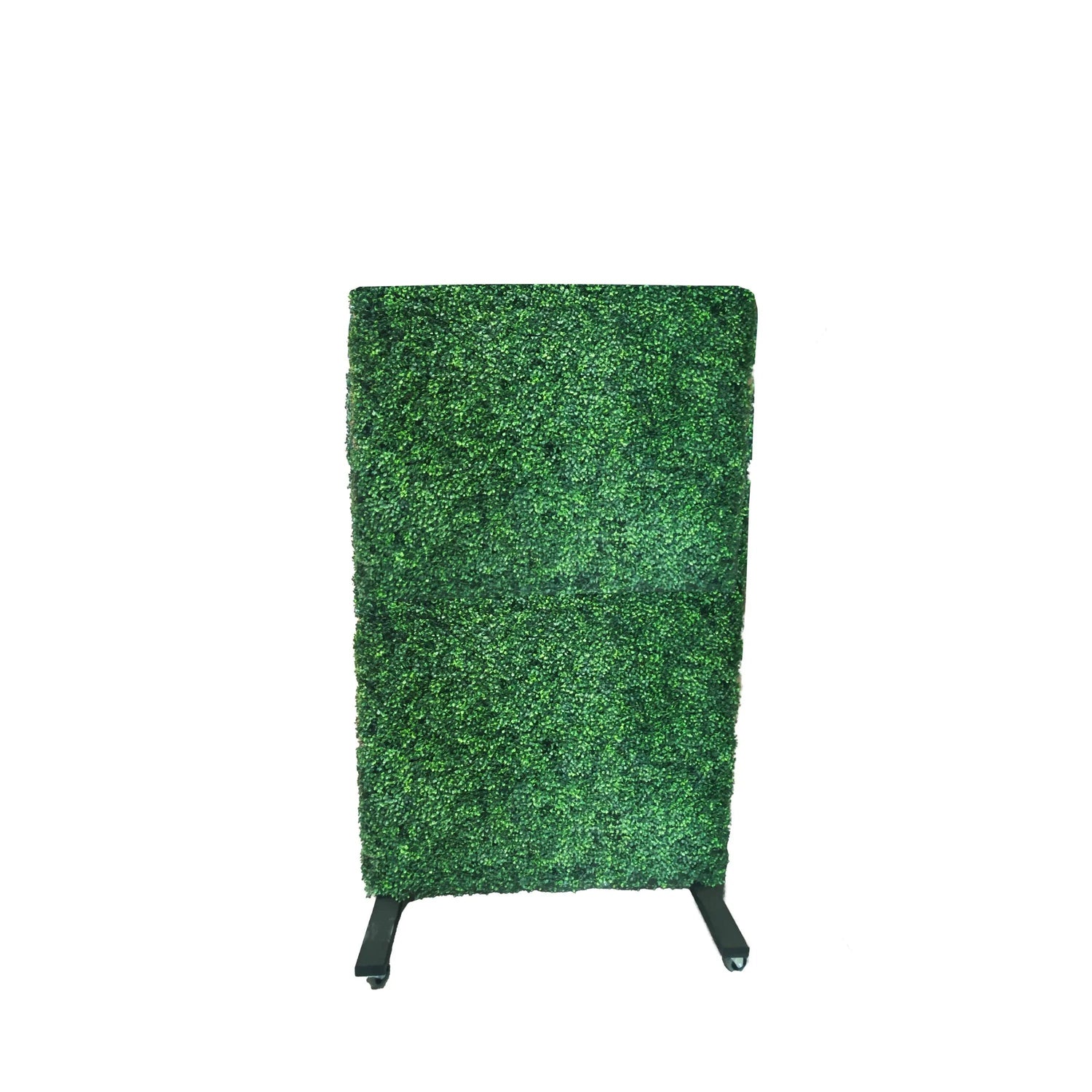 Single Hedge Wall - LM Treasures Prop Rentals