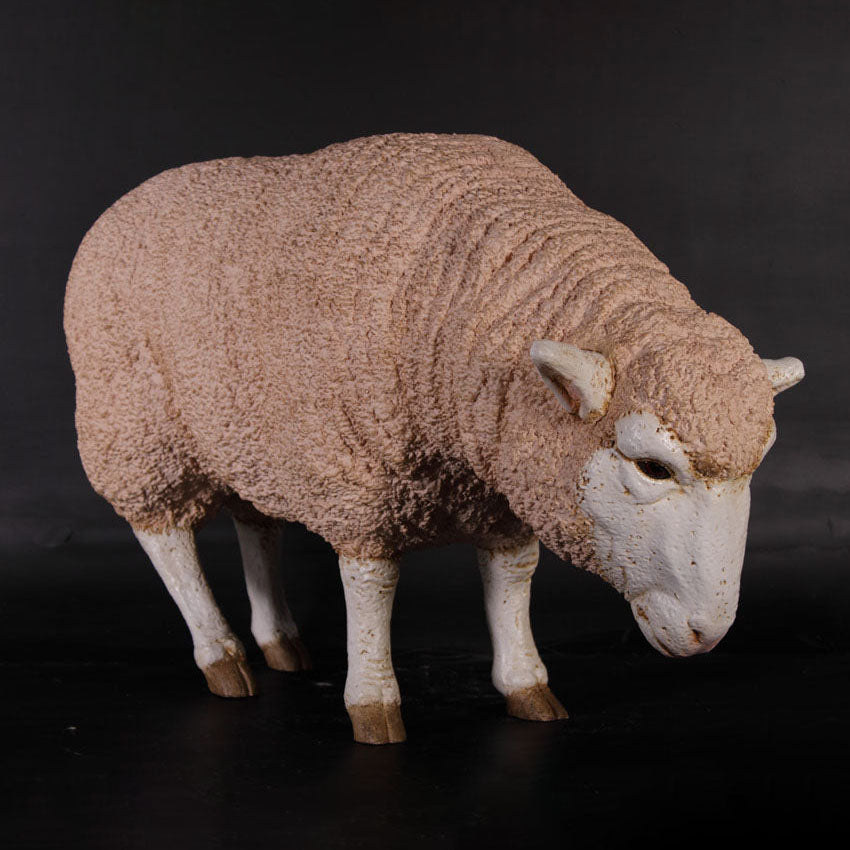 Merino Ewe Head Down Statue