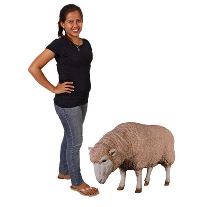 Merino Ewe Head Down Statue