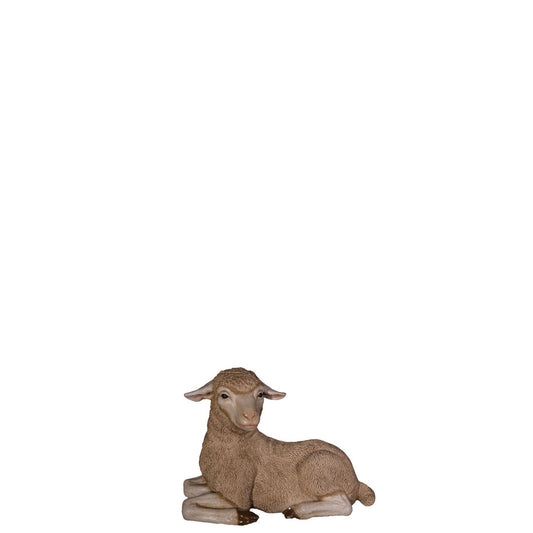 Baby Resting Merino Lamb Statue