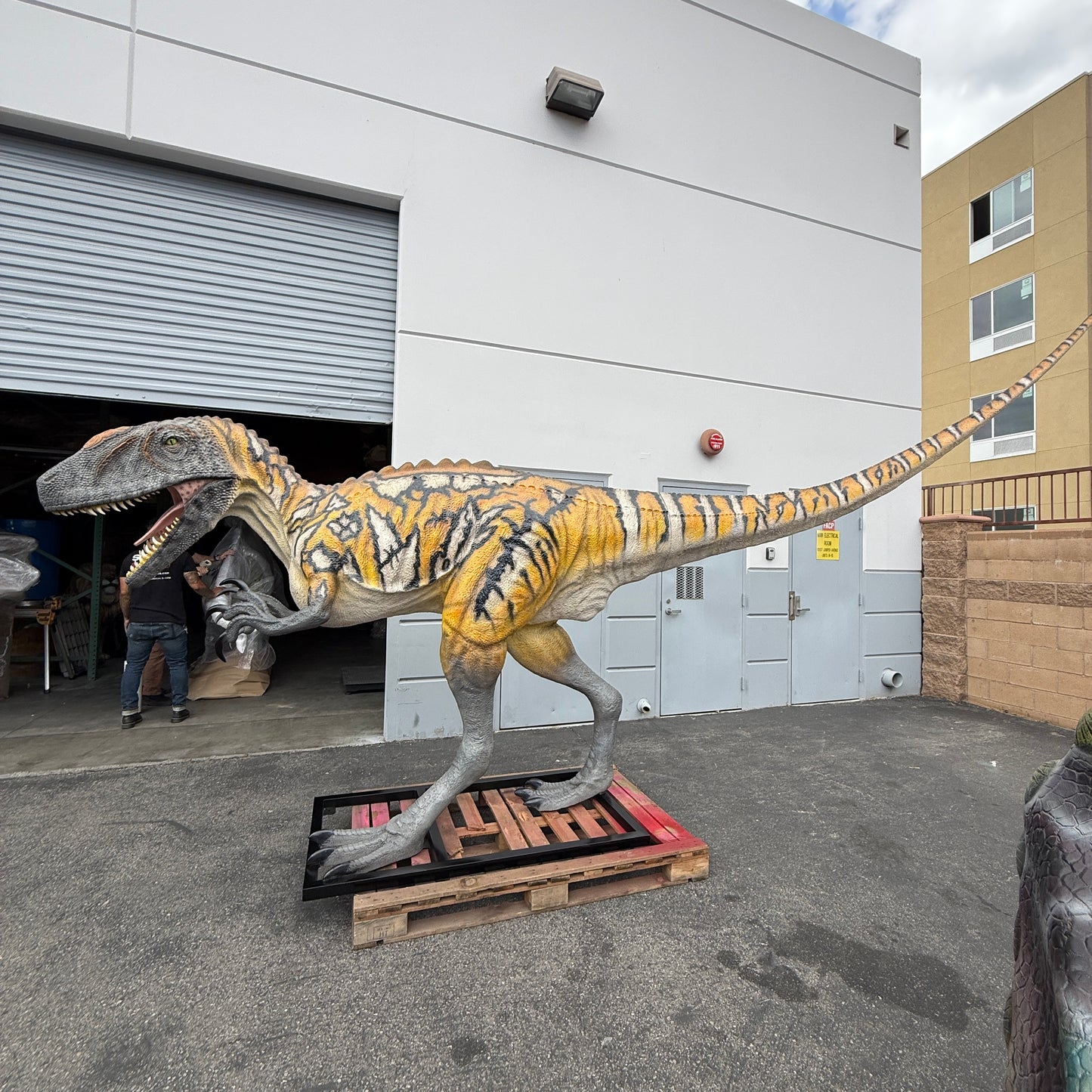 Australovenator Dinosaur Life Size Statue