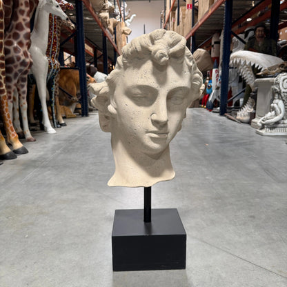 Stone David Head Statue M0136-030602-H