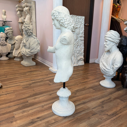 Classical Boy Stone Bust Statue