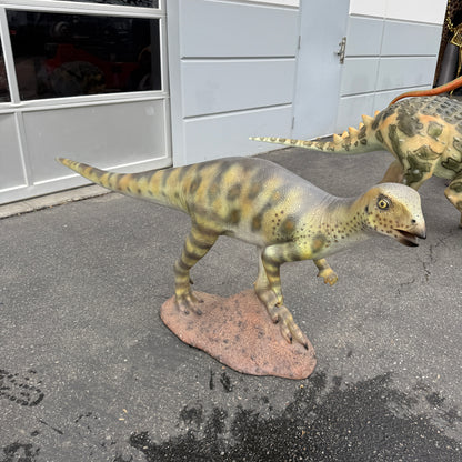 Hypsilophodont Dinosaur Statue